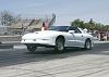 who has the Best looking LT1 trans am-wheelie-1-.jpg