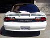 rear panel painting-dsc00656.rev.jpg