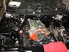 Flat black engine bay-img_1746.jpg