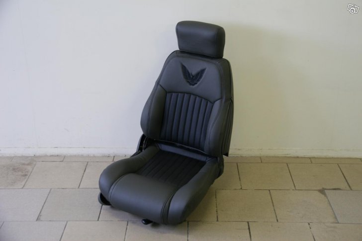 Painted my seats with vinyl and fabric spray paint - LS1TECH - Camaro and  Firebird Forum Discussion