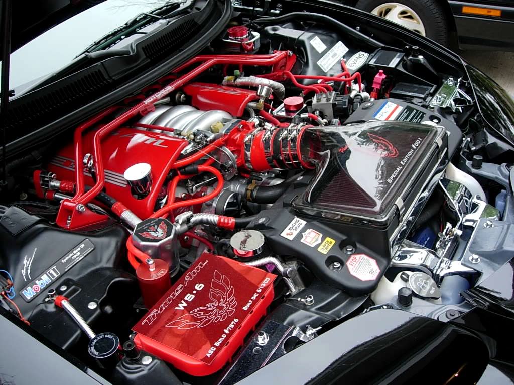 Name:  EngineBay2.jpg
Views: 1550
Size:  154.6 KB