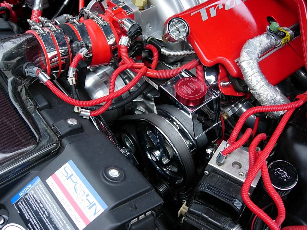 Name:  EngineBay6.jpg
Views: 1170
Size:  146.4 KB