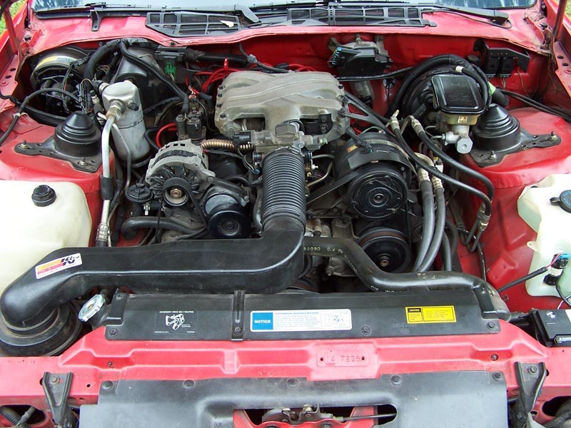 Name:  engine.jpg
Views: 3348
Size:  143.9 KB