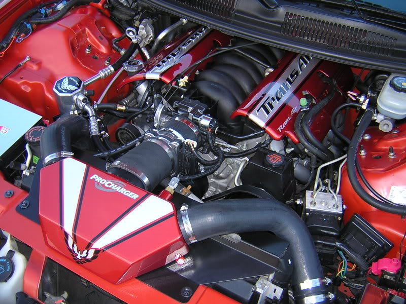 Name:  EngineBay7.jpg
Views: 266
Size:  122.7 KB