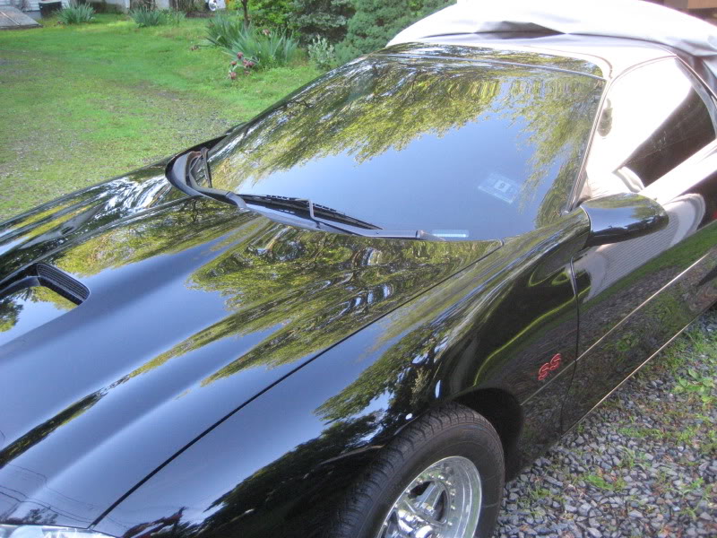 Trans am Carpet Dye with Dupli Color Vinyl carpet paint Gloss Black Before  and After - LS1TECH - Camaro and Firebird Forum Discussion