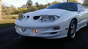 New mod?- Painted headlight bezels.-bl63t.jpg