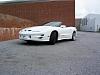 Need ideas for a White Trans AM-picture-011-resized-smaller.jpg