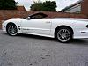Need ideas for a White Trans AM-picture-010-resized-smaller.jpg