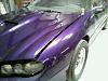 1997 to 1998 Bright Purple Metallic Camaro, RS, Z28 *DON'T QUOTE PICS!!!*-24873_1257266831859_1235276868_30605118_1226530_n.jpg