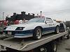 1982 indy pace car z28 with ls6-82-z28.jpg