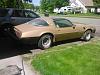 Wifes 78 Y88 Solar Gold Trans Am-img057.jpg