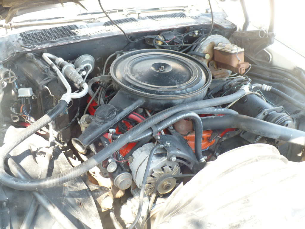 Name:  EngineBay.jpg
Views: 5016
Size:  159.0 KB