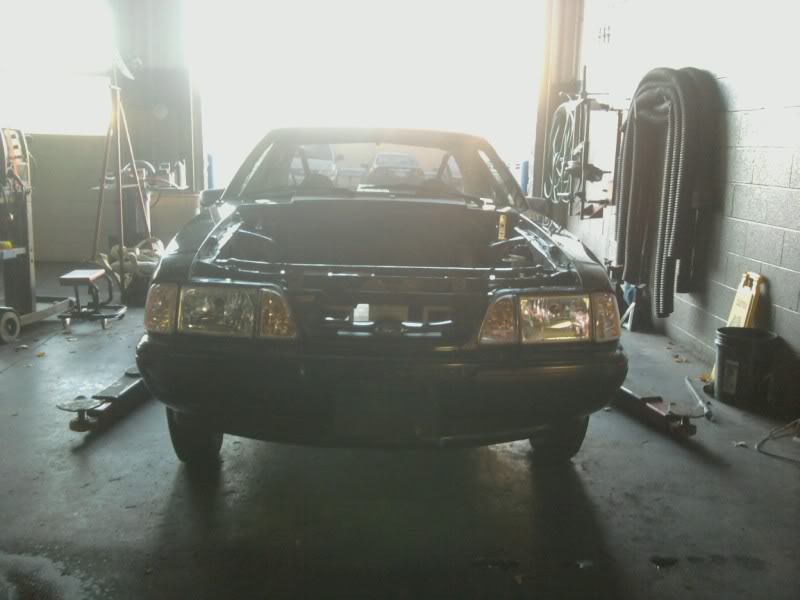 Name:  mustang2.jpg
Views: 886
Size:  47.5 KB