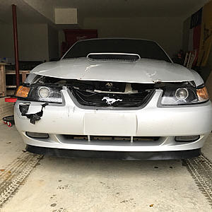 New Edge Mustang - Turbo LQ4/T56-photo628.jpg