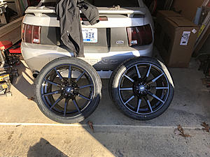 New Edge Mustang - Turbo LQ4/T56-photo521.jpg