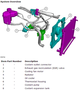 Coolant Expansion Tank Hose Routing.-fiesta-st-cooling-system.png