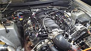 99 Mustang 5.3/80e swap-ejqtjlz.jpg