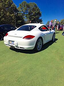 Cayman ls project begins-eia2dbd.jpg