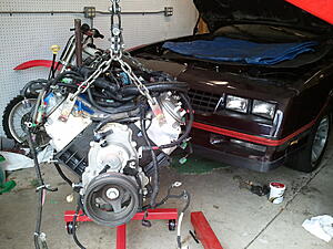 '88 Monte Carlo SS w/ LY6 6.0 swap-qvdgcwi.jpg