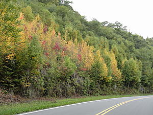 From the GSMNP to Cherohala Skyway (photos)-grand-loop-025.jpg