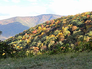 From the GSMNP to Cherohala Skyway (photos)-blue-ridge-2016-2-.jpg