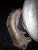 Please need help identify this turbo?-1235432_10152233165609478_995357448_n.jpg