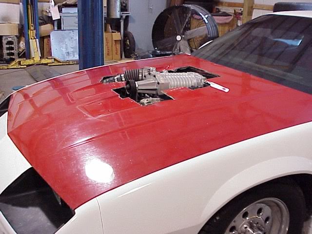 Name:  91ls1z28radix23_hood_cutout04.jpg
Views: 1665
Size:  54.6 KB