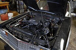 81 ford fairmont # 4 (4.8, ls1cam, on3-76,60e, stock driveshaft and 7.5 rear)-jxldxlx.jpg