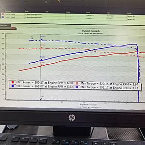 SC Snout Removal-20170930_113925.jpg