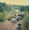Outlaw Buggy from Hell!-swampbuggy.jpg