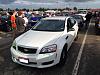 lsx powerd cop cars . over 500 hp-caprice.jpg