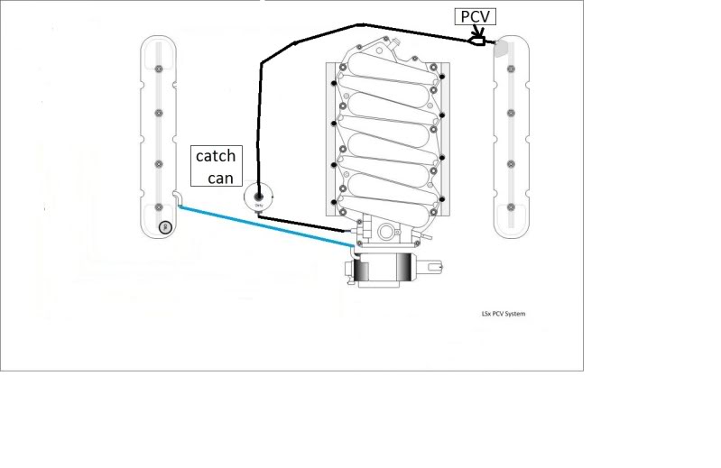My catch can routing ok? - Page 24 - LS1TECH - Camaro and Firebird Forum  Discussion