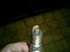 Need Help Look at my Spark Plugs-cimg0146.jpg