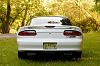 the New Guy... from Jersey-99z28-3.jpg