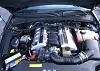 2004 GTO LS1/T56 Drop out-gtoengine.jpg