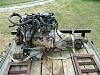 '02 6.0L complete engine &amp; 4L80E transmission-6.0l-engine-1-small.jpg