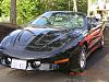 One Screwed up Bird-1997-trans-am-031.jpg