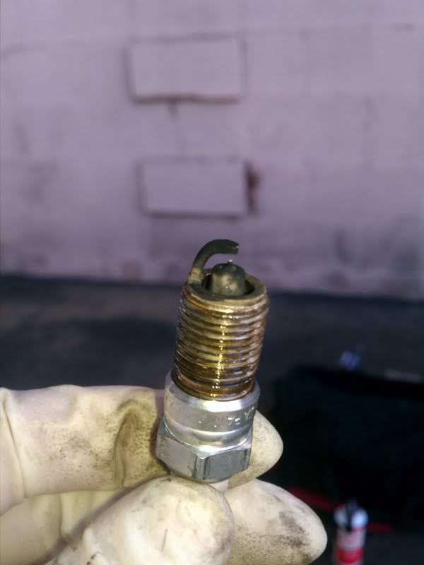 Name:  sparkplug.jpg
Views: 4439
Size:  29.2 KB