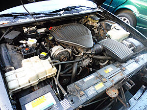 LT1 swap into different car-lt8bxqf.jpg