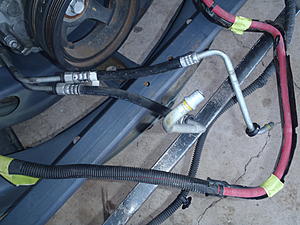 Tr6060 oil cooler lines-p3130369.jpg