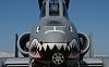 AIRCREW, post up pics of your airframe in here...-20050116-10teeth_3.jpg