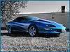 Post pics of your Mystic Teal Camaro-sphynx2.jpg