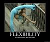 motivational poster-flexibility.jpg