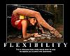 motivational poster-flexibility-1-.jpg