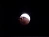 Lunar Eclipse-eclipse-03.jpg