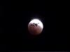 Lunar Eclipse-eclipse-05.jpg