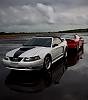 JLP Photography-mustang-reflection.jpg