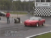 Pic of the Week Entries-bg-2002-runnerup.gif