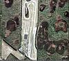 Post Your Dragstrip: Google Earth Style-moroso.jpg
