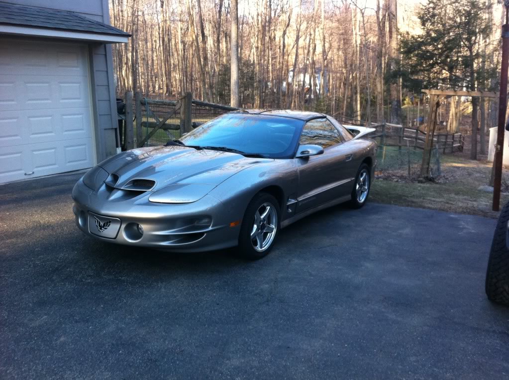 Name:  transam.jpg
Views: 671
Size:  172.0 KB